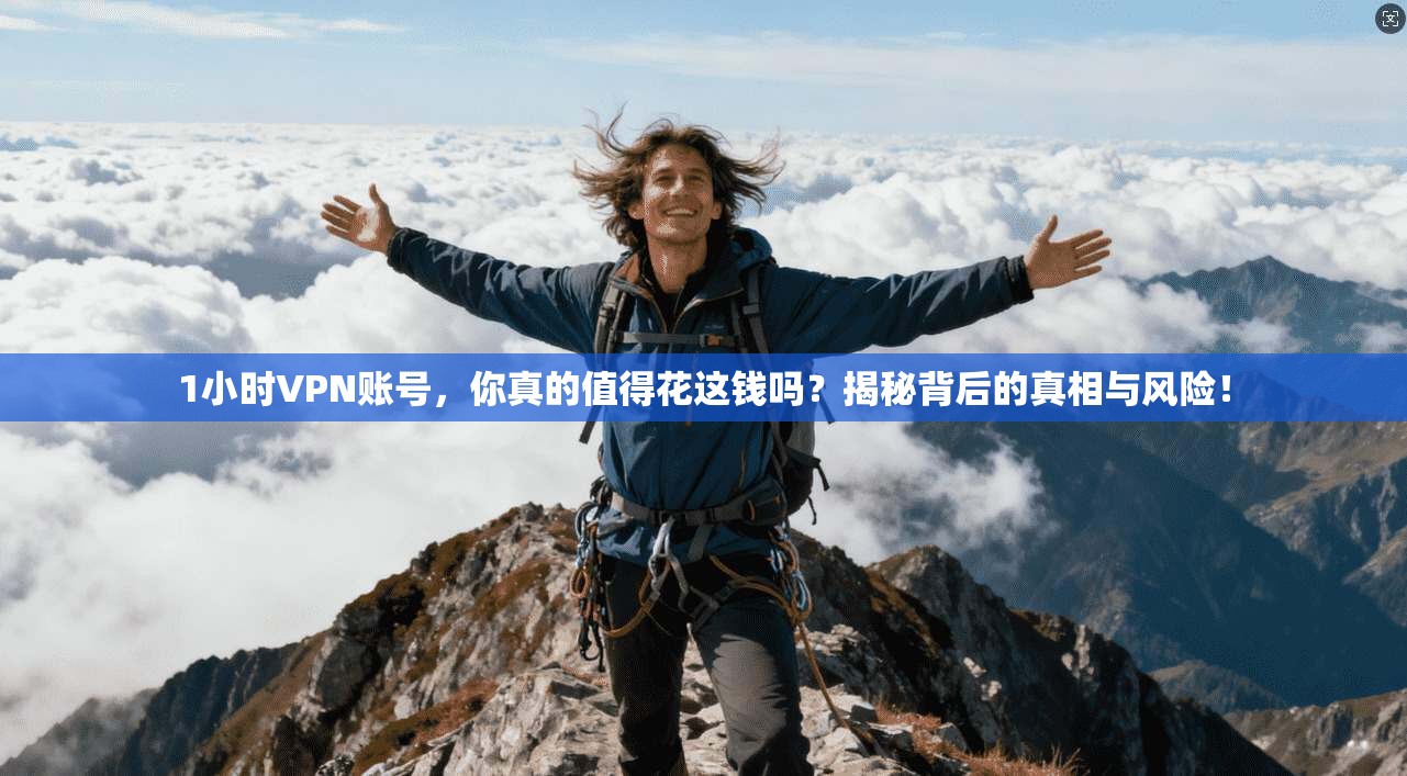 1小时VPN账号，你真的值得花这钱吗？揭秘背后的真相与风险！