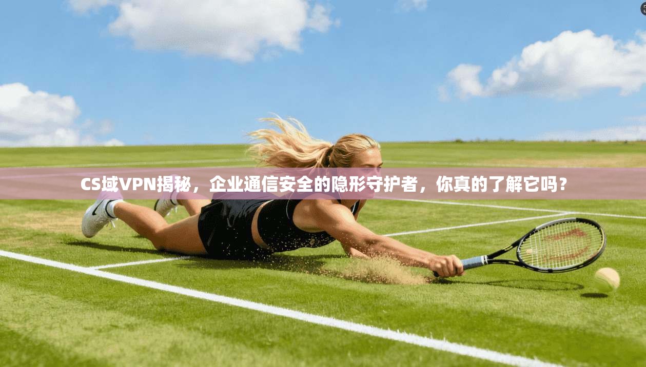 CS域VPN揭秘，企业通信安全的隐形守护者，你真的了解它吗？