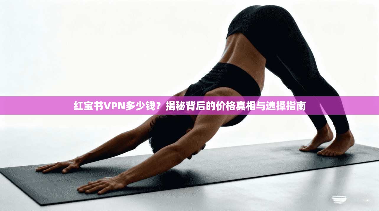 红宝书VPN多少钱？揭秘背后的价格真相与选择指南