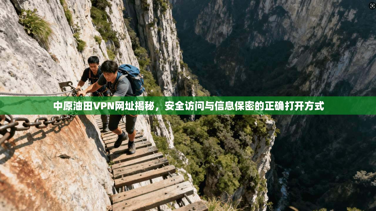 中原油田VPN网址揭秘，安全访问与信息保密的正确打开方式