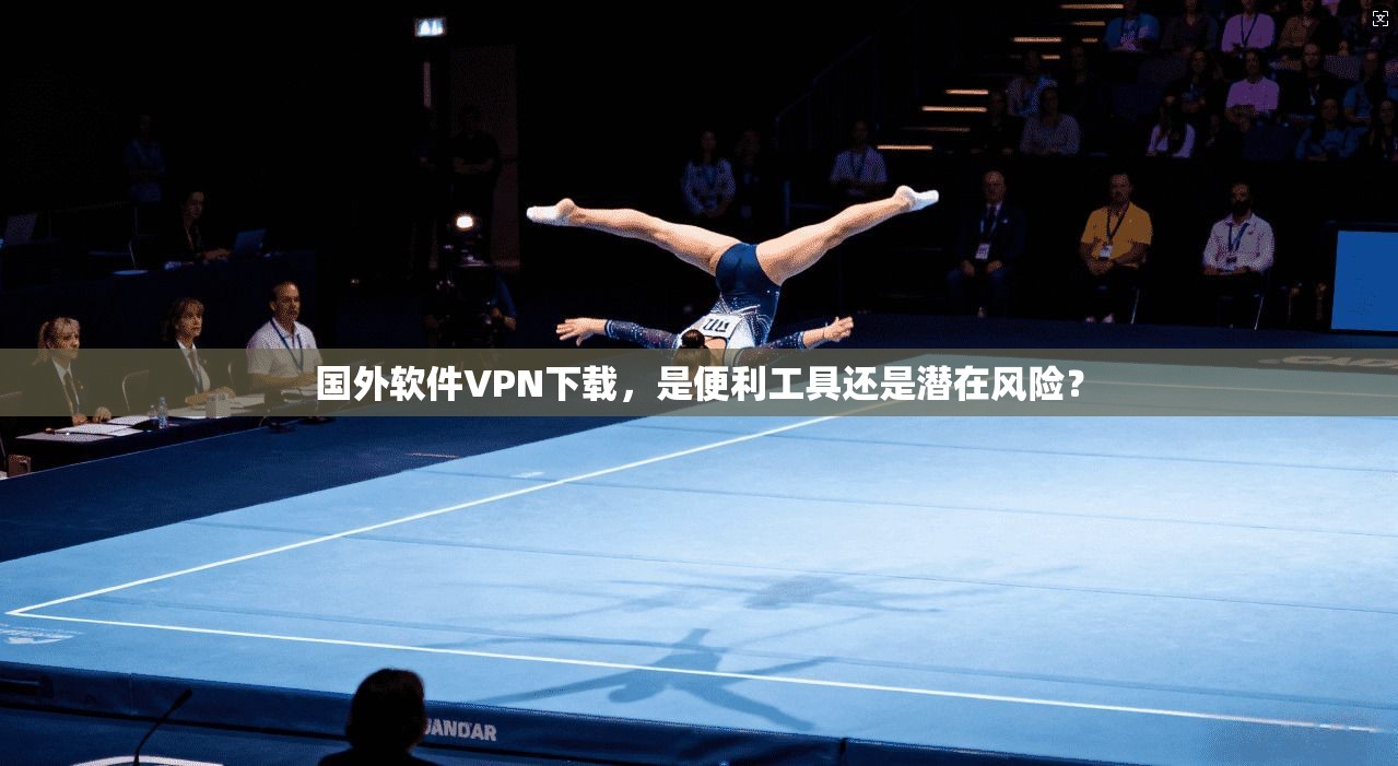 国外软件VPN下载，是便利工具还是潜在风险？