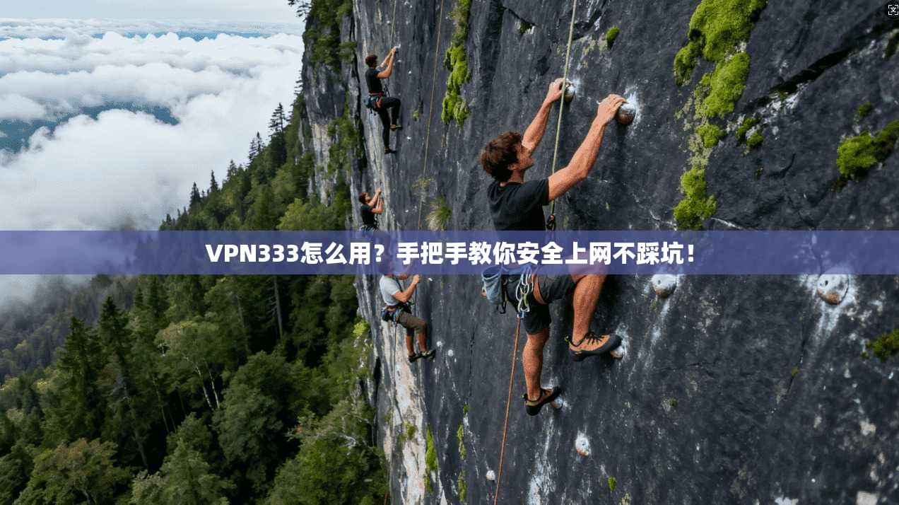 VPN333怎么用？手把手教你安全上网不踩坑！