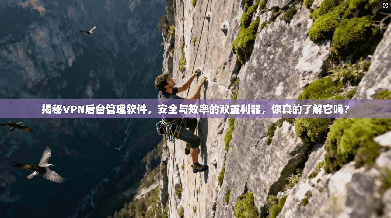 揭秘VPN后台管理软件，安全与效率的双重利器，你真的了解它吗？