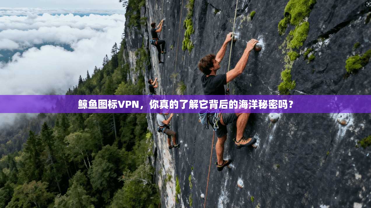 鲸鱼图标VPN，你真的了解它背后的海洋秘密吗？