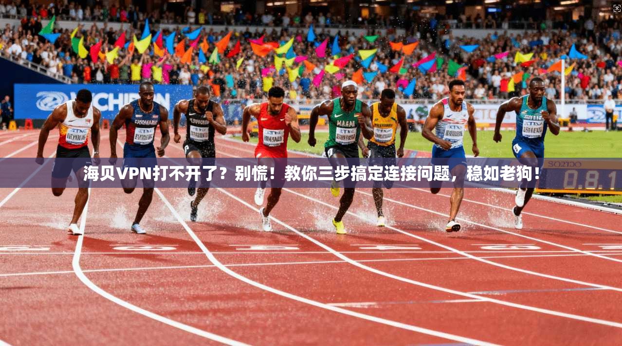 海贝VPN打不开了？别慌！教你三步搞定连接问题，稳如老狗！