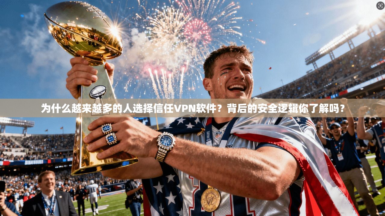 为什么越来越多的人选择信任VPN软件？背后的安全逻辑你了解吗？