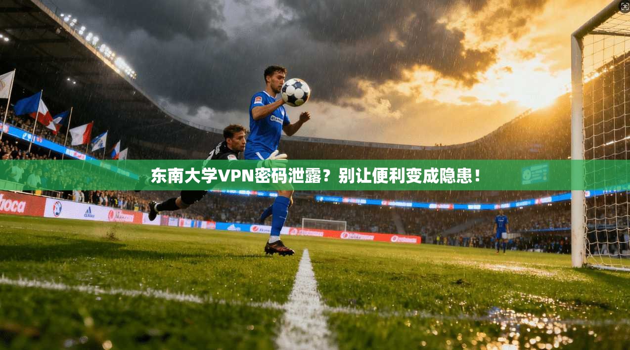 东南大学VPN密码泄露？别让便利变成隐患！