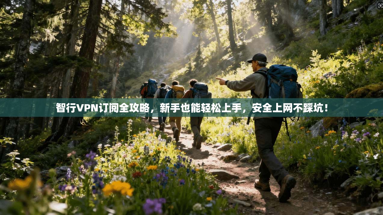 智行VPN订阅全攻略，新手也能轻松上手，安全上网不踩坑！