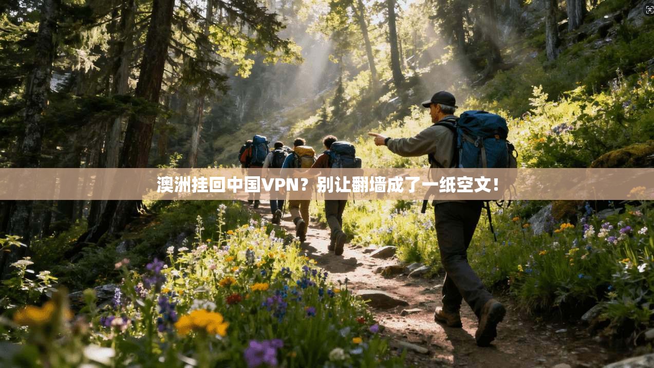 澳洲挂回中国VPN？别让翻墙成了一纸空文！