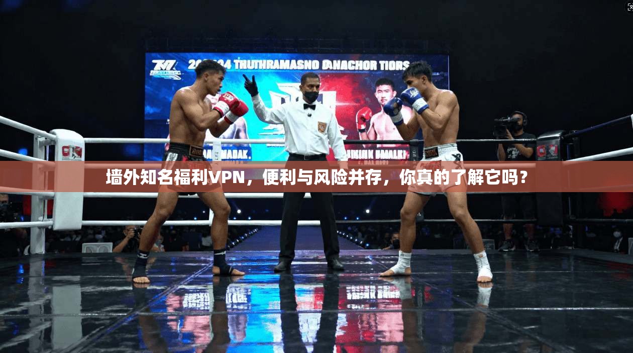 墙外知名福利VPN，便利与风险并存，你真的了解它吗？