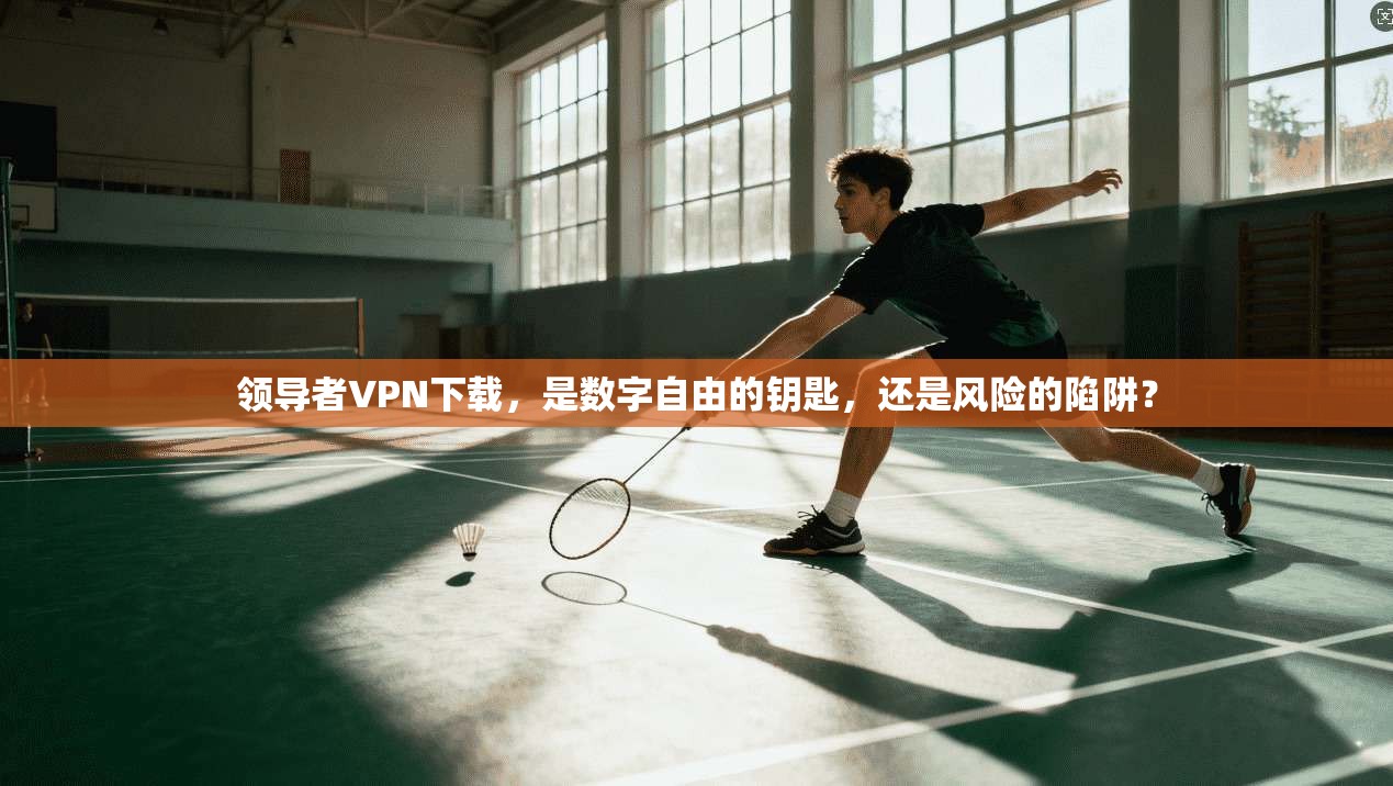 领导者VPN下载，是数字自由的钥匙，还是风险的陷阱？