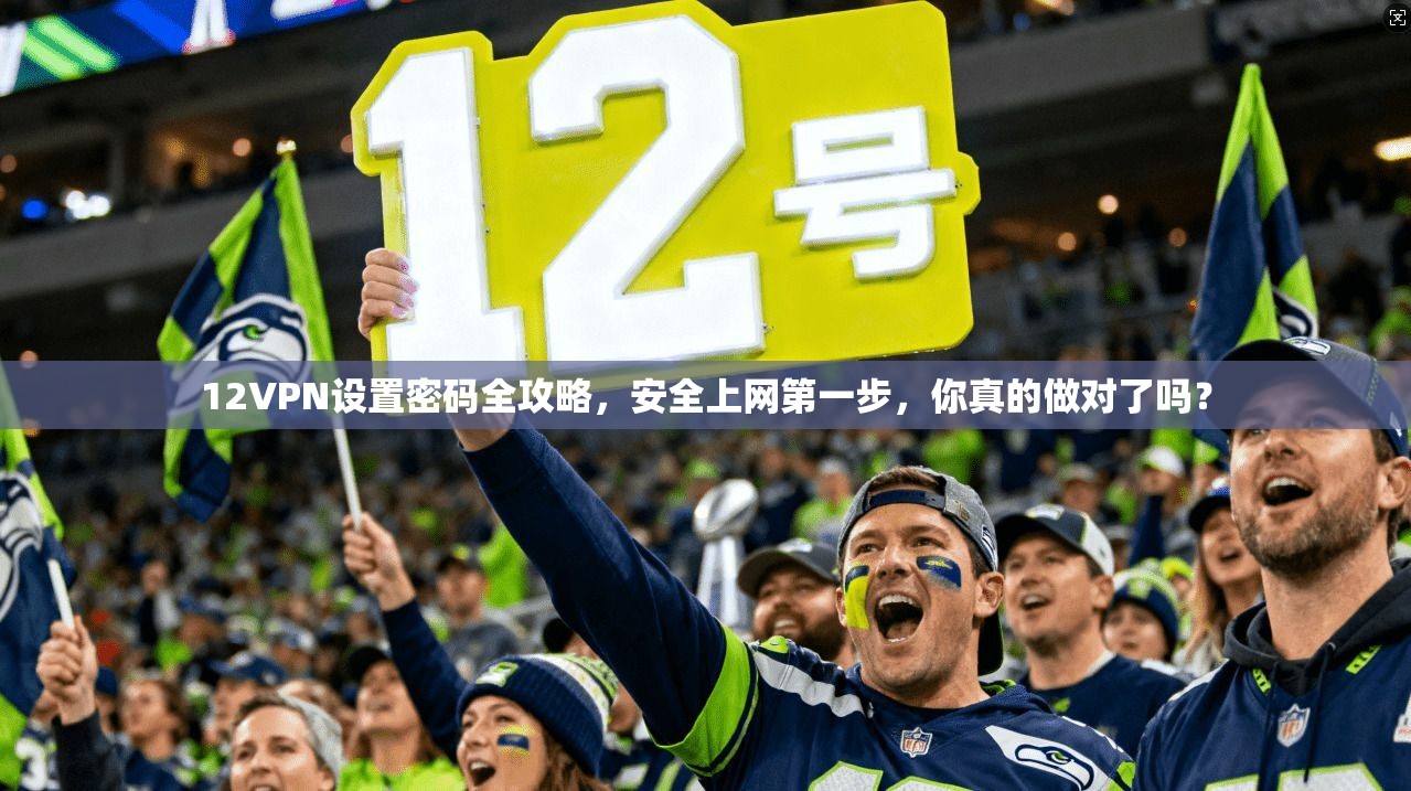12VPN设置密码全攻略，安全上网第一步，你真的做对了吗？