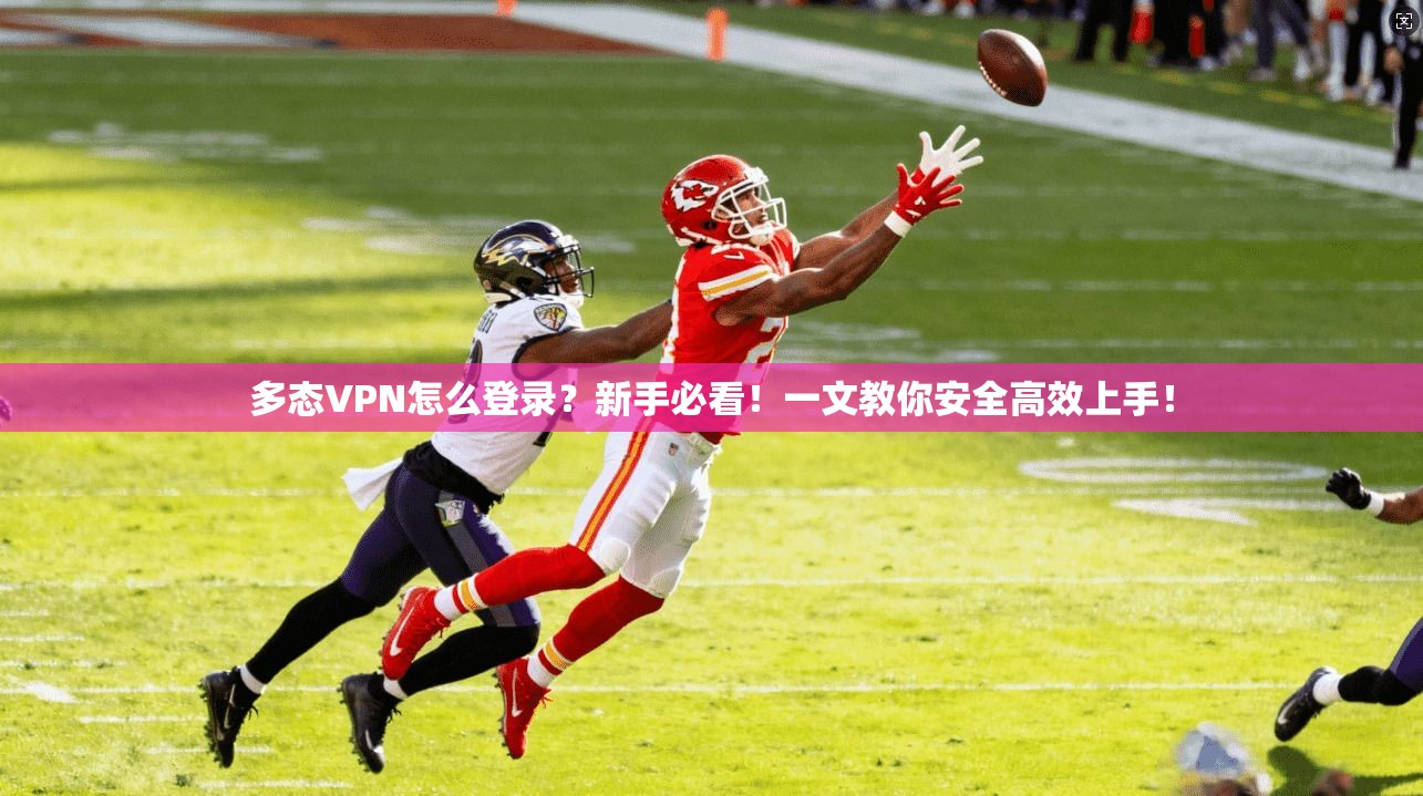 多态VPN怎么登录？新手必看！一文教你安全高效上手！