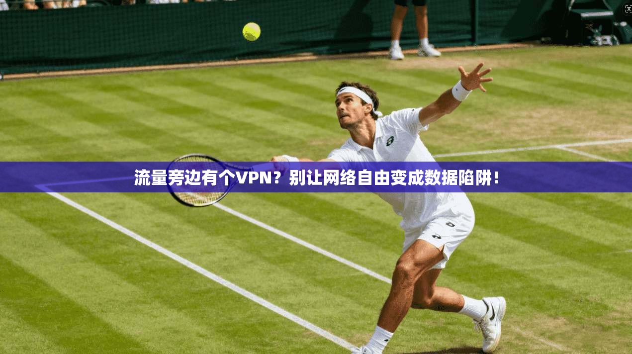 流量旁边有个VPN？别让网络自由变成数据陷阱！