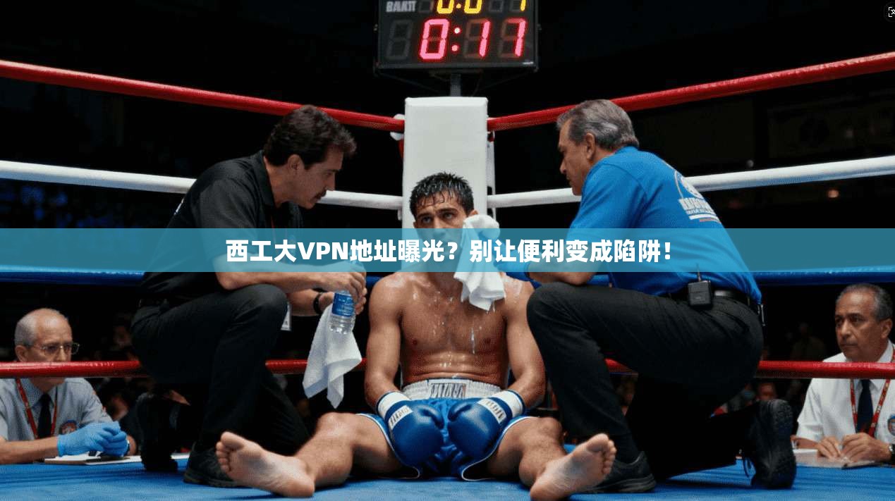 西工大VPN地址曝光？别让便利变成陷阱！