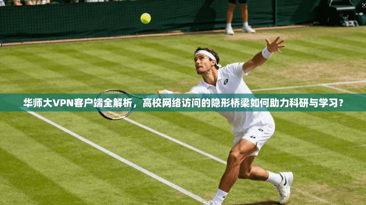 华师大VPN客户端全解析，高校网络访问的隐形桥梁如何助力科研与学习？