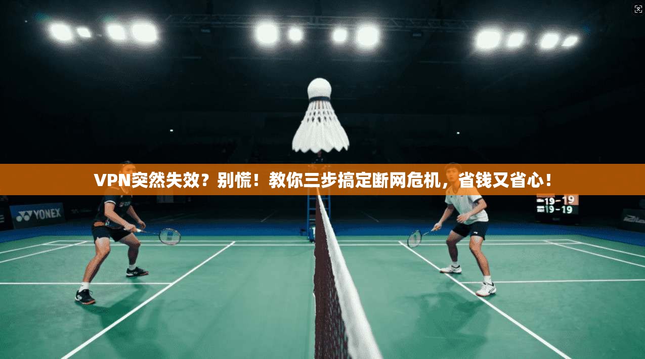 VPN突然失效？别慌！教你三步搞定断网危机，省钱又省心！