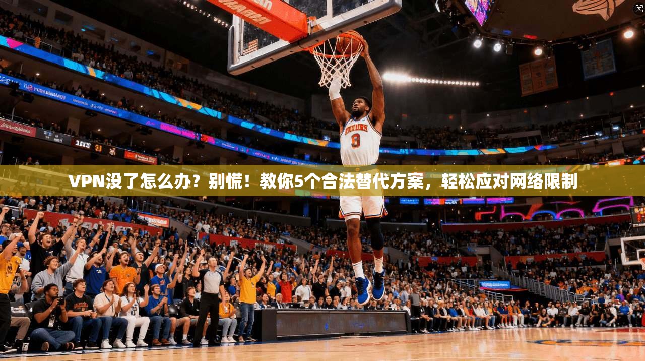 VPN没了怎么办？别慌！教你5个合法替代方案，轻松应对网络限制