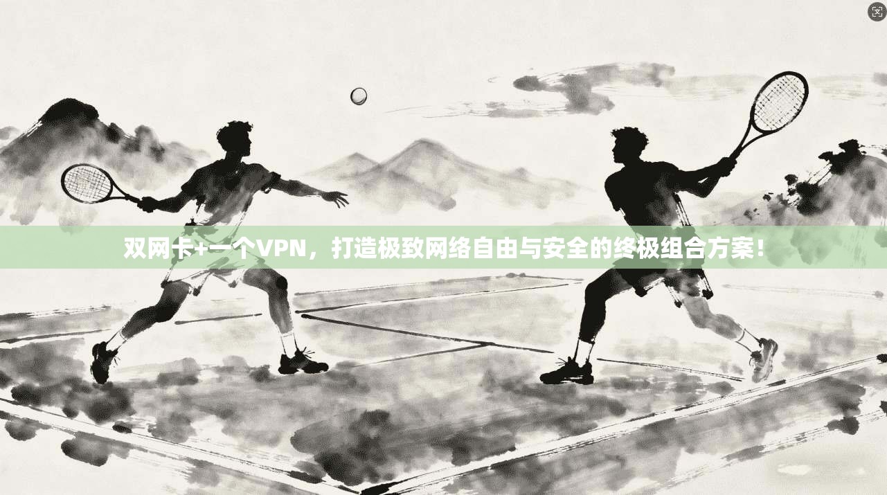 双网卡+一个VPN，打造极致网络自由与安全的终极组合方案！