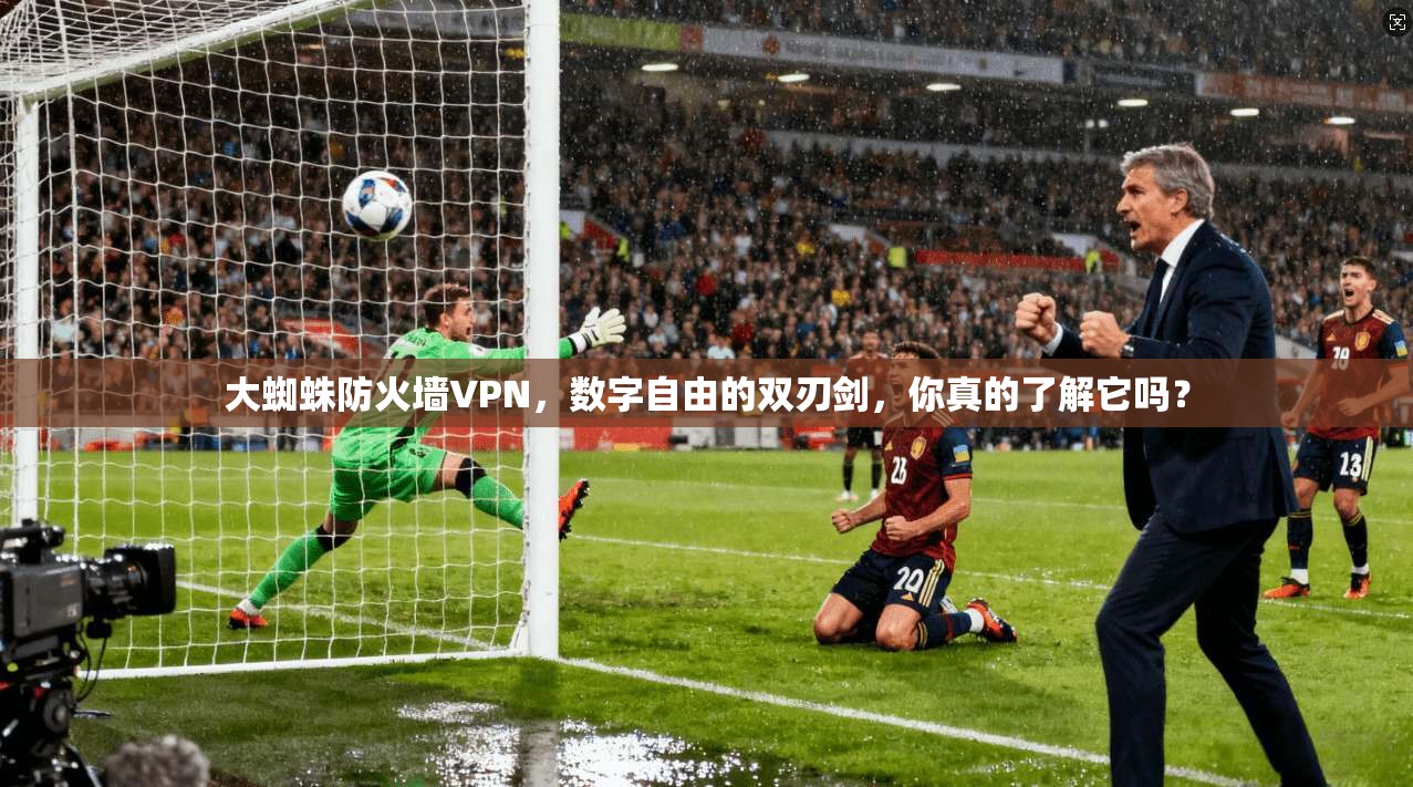 大蜘蛛防火墙VPN，数字自由的双刃剑，你真的了解它吗？