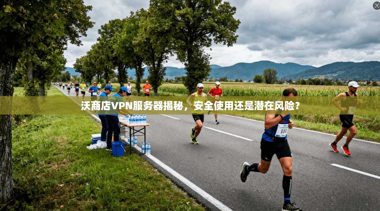 沃商店VPN服务器揭秘，安全使用还是潜在风险？