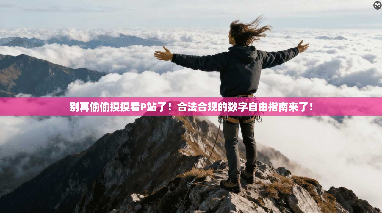 别再偷偷摸摸看P站了！合法合规的数字自由指南来了！