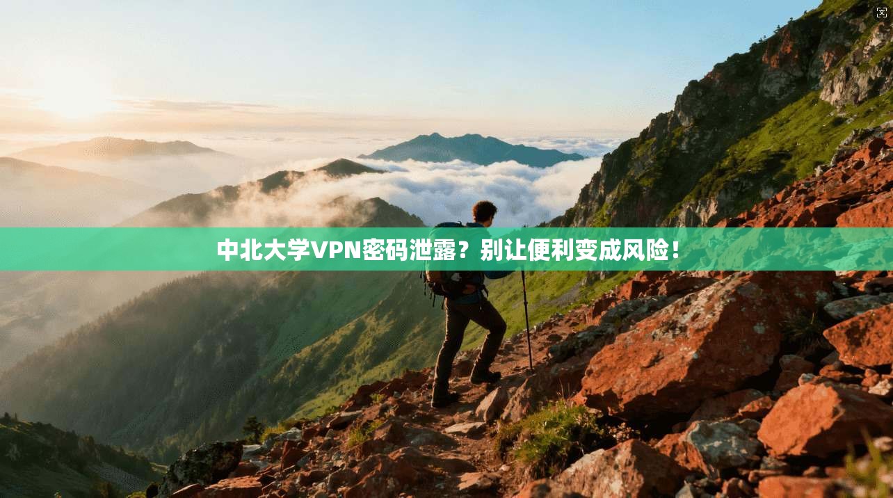 中北大学VPN密码泄露？别让便利变成风险！