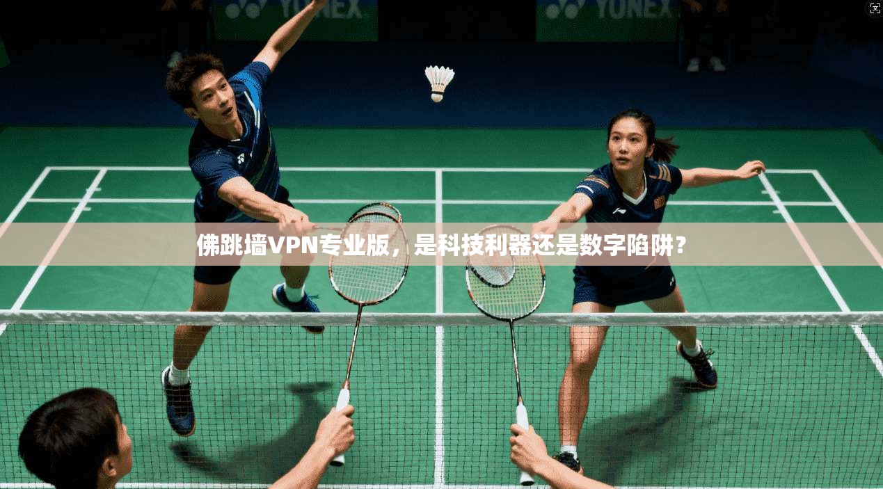 佛跳墙VPN专业版，是科技利器还是数字陷阱？