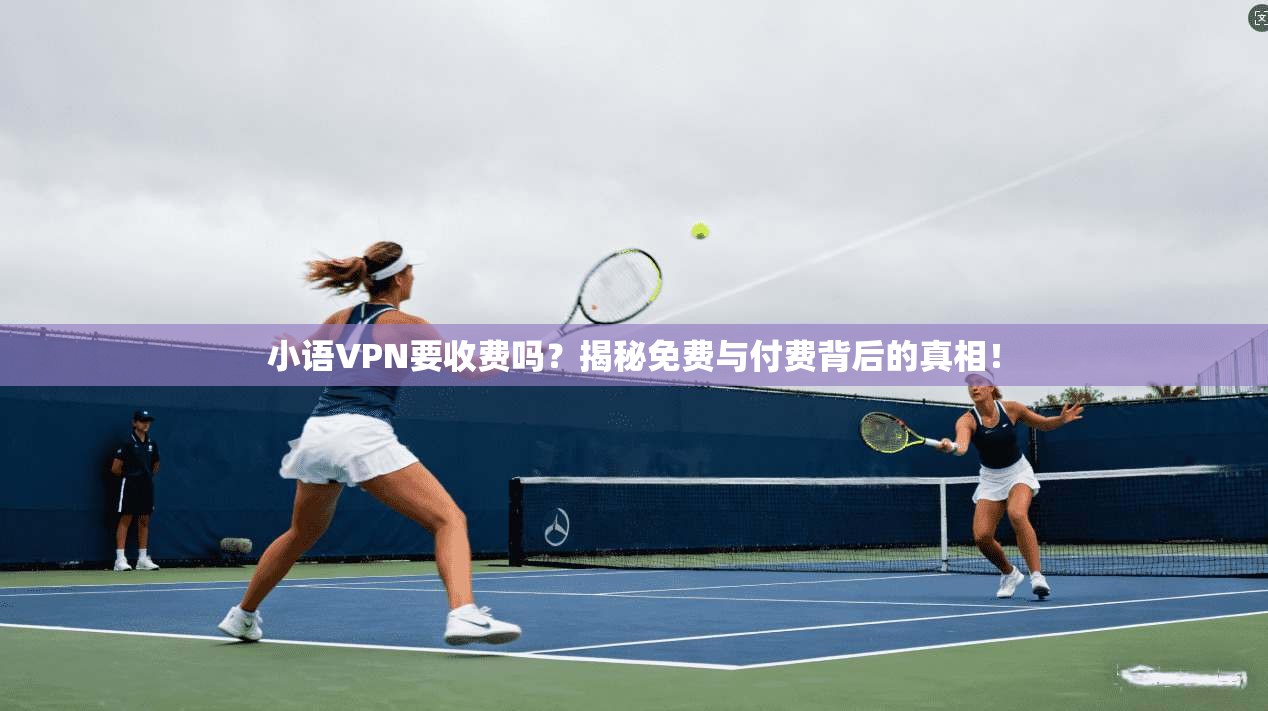 小语VPN要收费吗？揭秘免费与付费背后的真相！