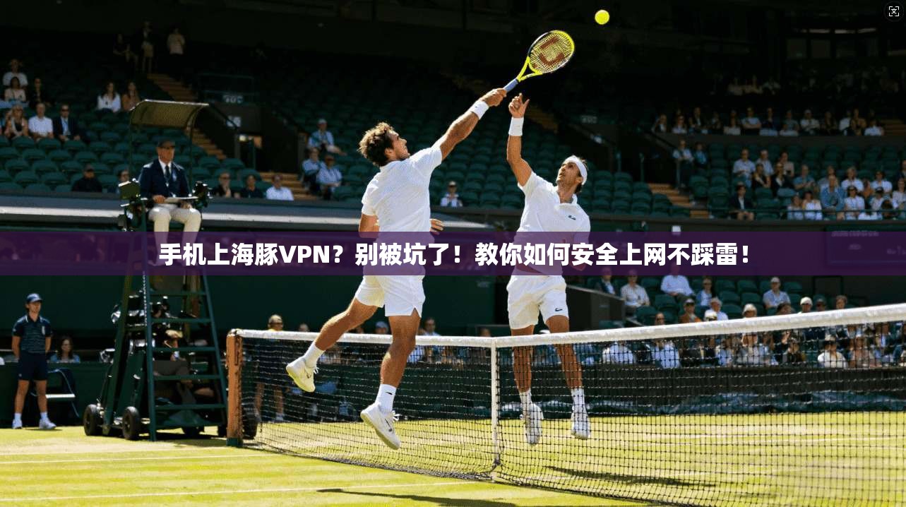 手机上海豚VPN？别被坑了！教你如何安全上网不踩雷！