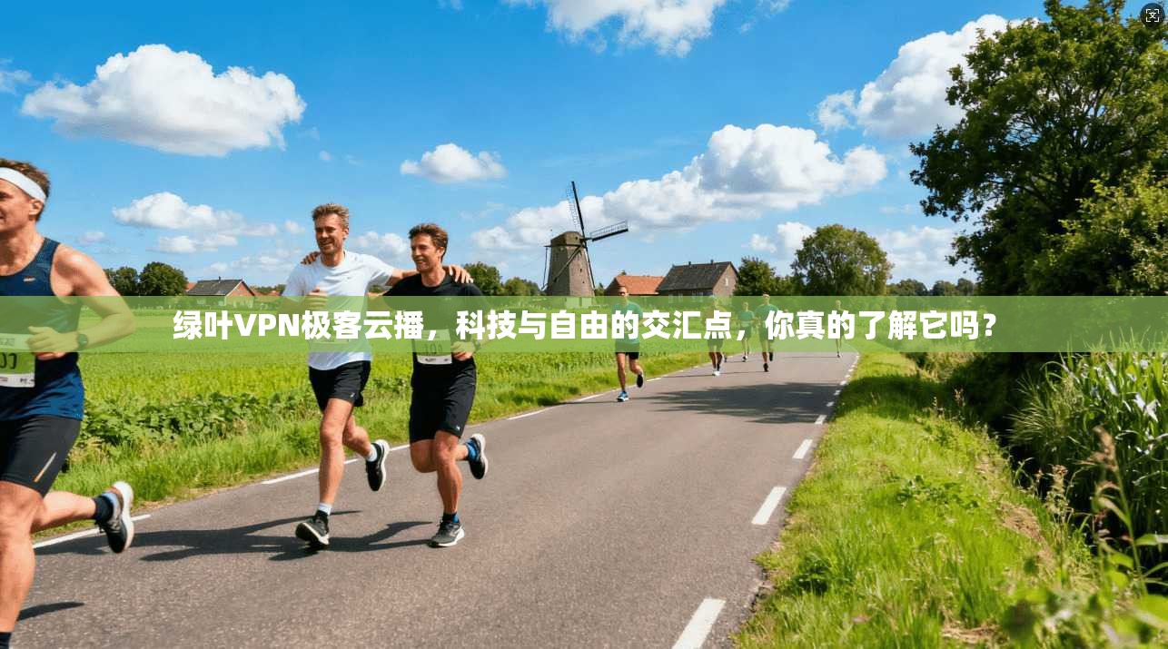 绿叶VPN极客云播，科技与自由的交汇点，你真的了解它吗？