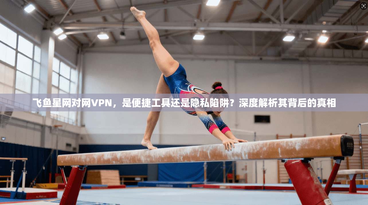 飞鱼星网对网VPN，是便捷工具还是隐私陷阱？深度解析其背后的真相