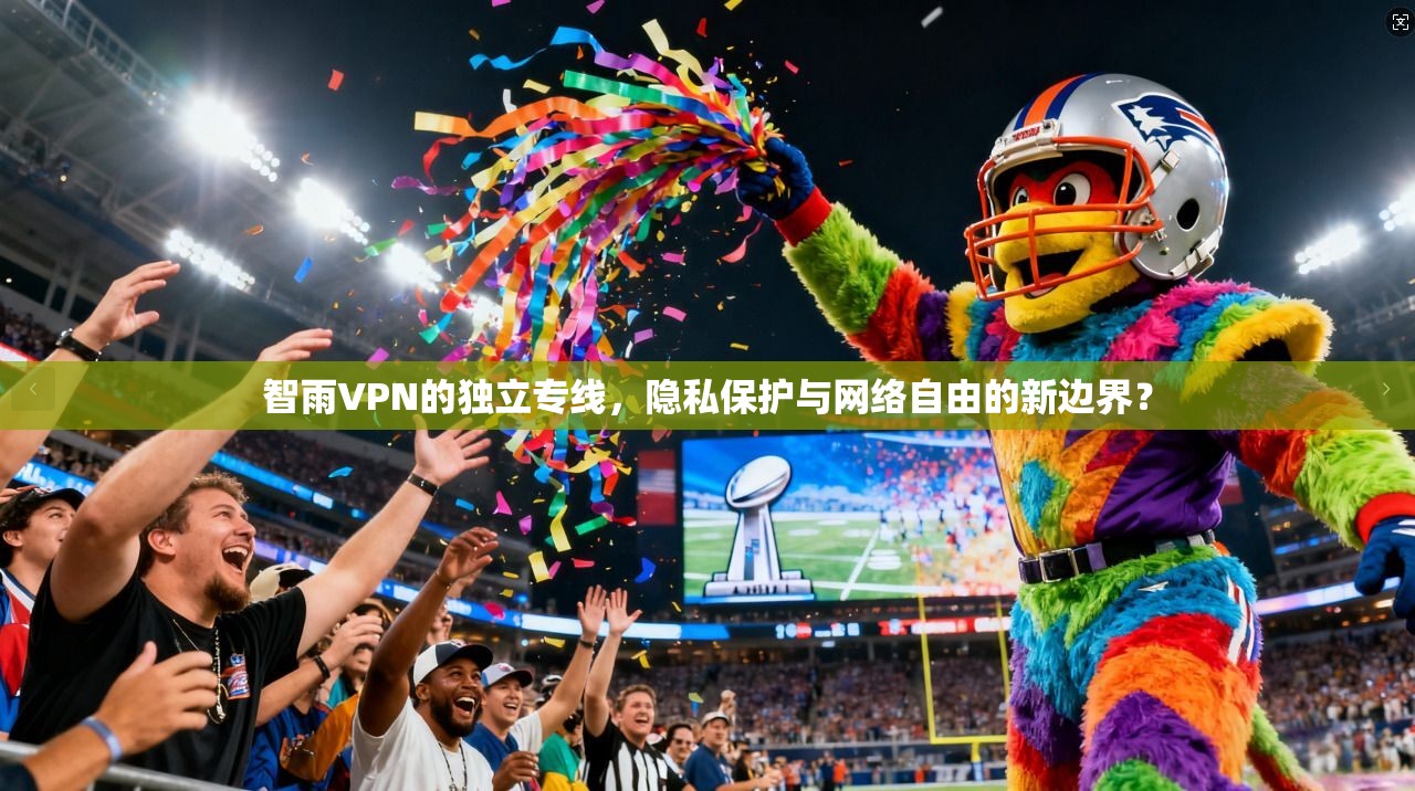智雨VPN的独立专线，隐私保护与网络自由的新边界？