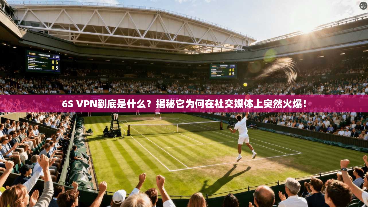 6S VPN到底是什么？揭秘它为何在社交媒体上突然火爆！