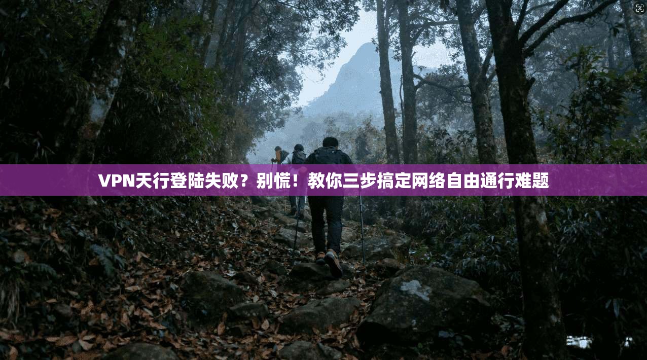 VPN天行登陆失败？别慌！教你三步搞定网络自由通行难题
