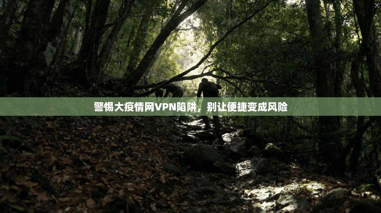 警惕大疫情网VPN陷阱，别让便捷变成风险