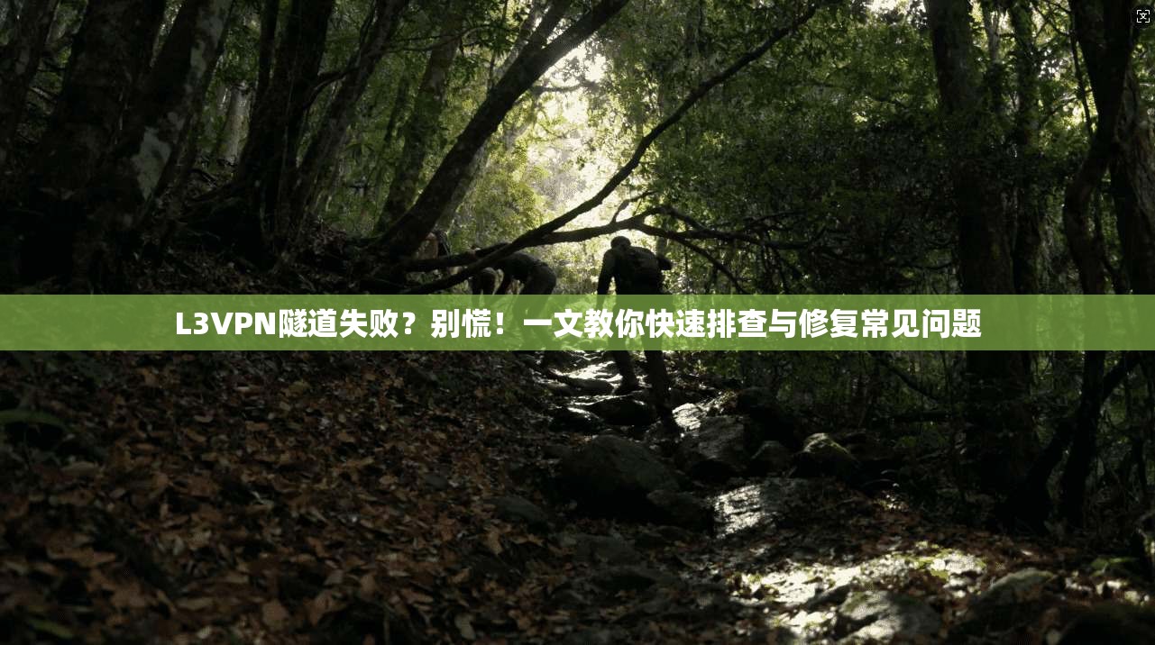 L3VPN隧道失败？别慌！一文教你快速排查与修复常见问题