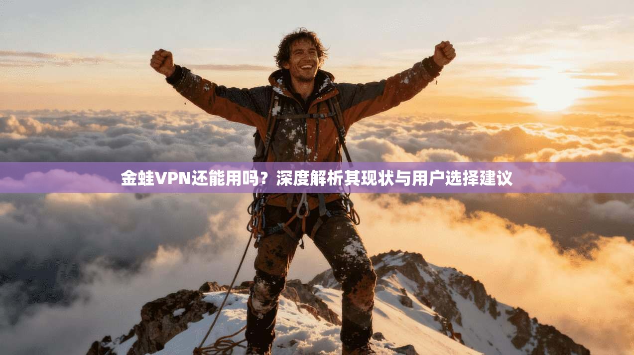 金蛙VPN还能用吗？深度解析其现状与用户选择建议
