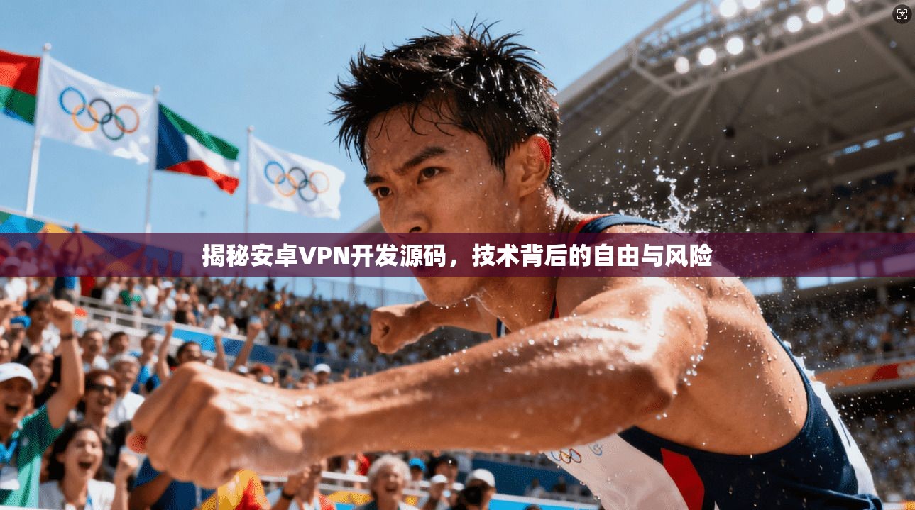 揭秘安卓VPN开发源码，技术背后的自由与风险