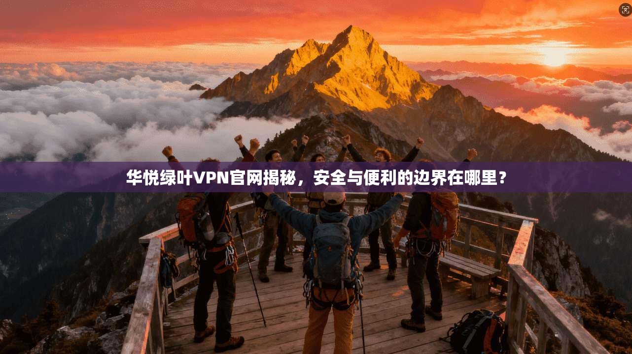 华悦绿叶VPN官网揭秘，安全与便利的边界在哪里？