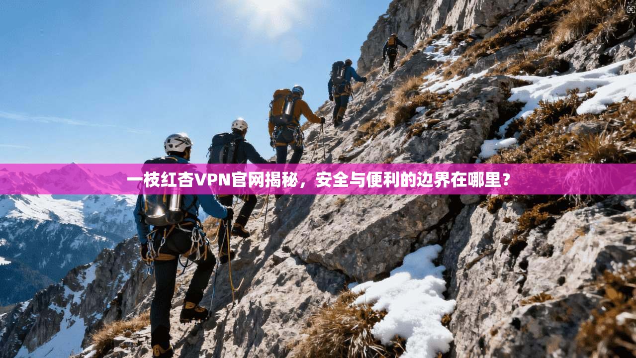 一枝红杏VPN官网揭秘，安全与便利的边界在哪里？