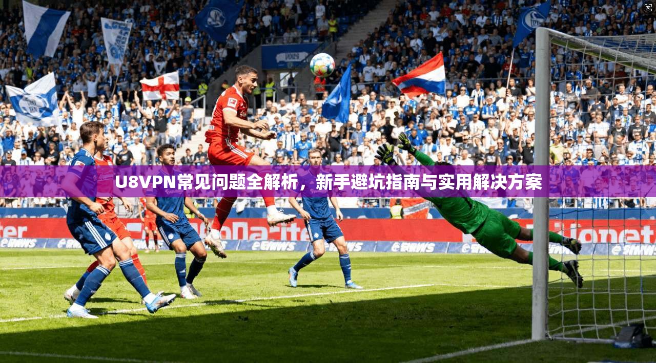 U8VPN常见问题全解析，新手避坑指南与实用解决方案