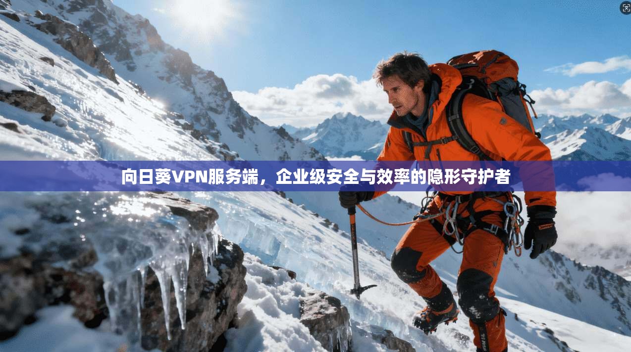 向日葵VPN服务端，企业级安全与效率的隐形守护者