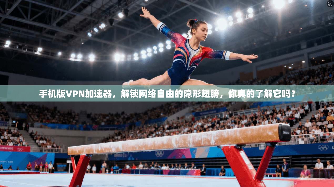手机版VPN加速器，解锁网络自由的隐形翅膀，你真的了解它吗？
