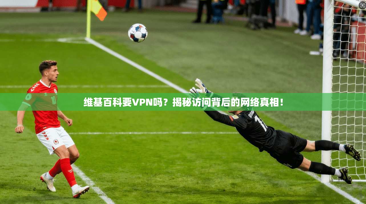 维基百科要VPN吗？揭秘访问背后的网络真相！