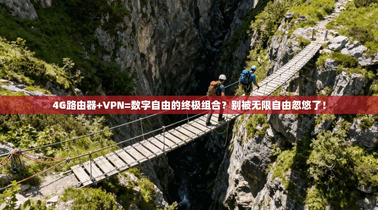 4G路由器+VPN=数字自由的终极组合？别被无限自由忽悠了！