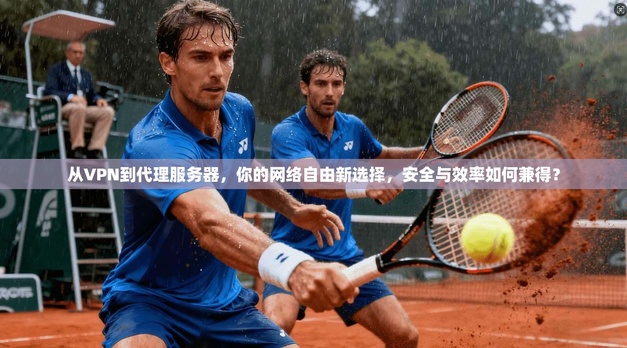 从VPN到代理服务器，你的网络自由新选择，安全与效率如何兼得？