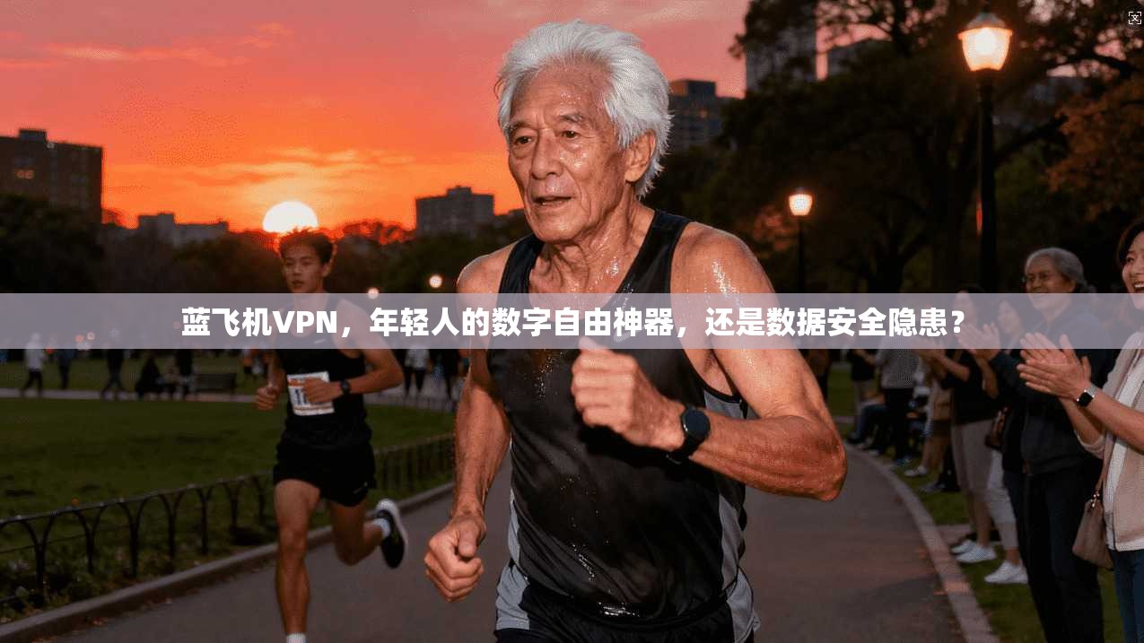 蓝飞机VPN，年轻人的数字自由神器，还是数据安全隐患？
