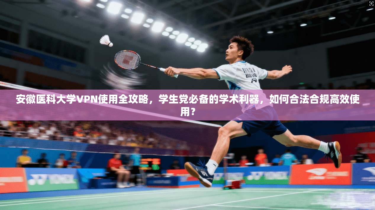 安徽医科大学VPN使用全攻略，学生党必备的学术利器，如何合法合规高效使用？