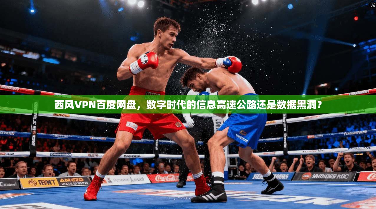 西风VPN百度网盘，数字时代的信息高速公路还是数据黑洞？